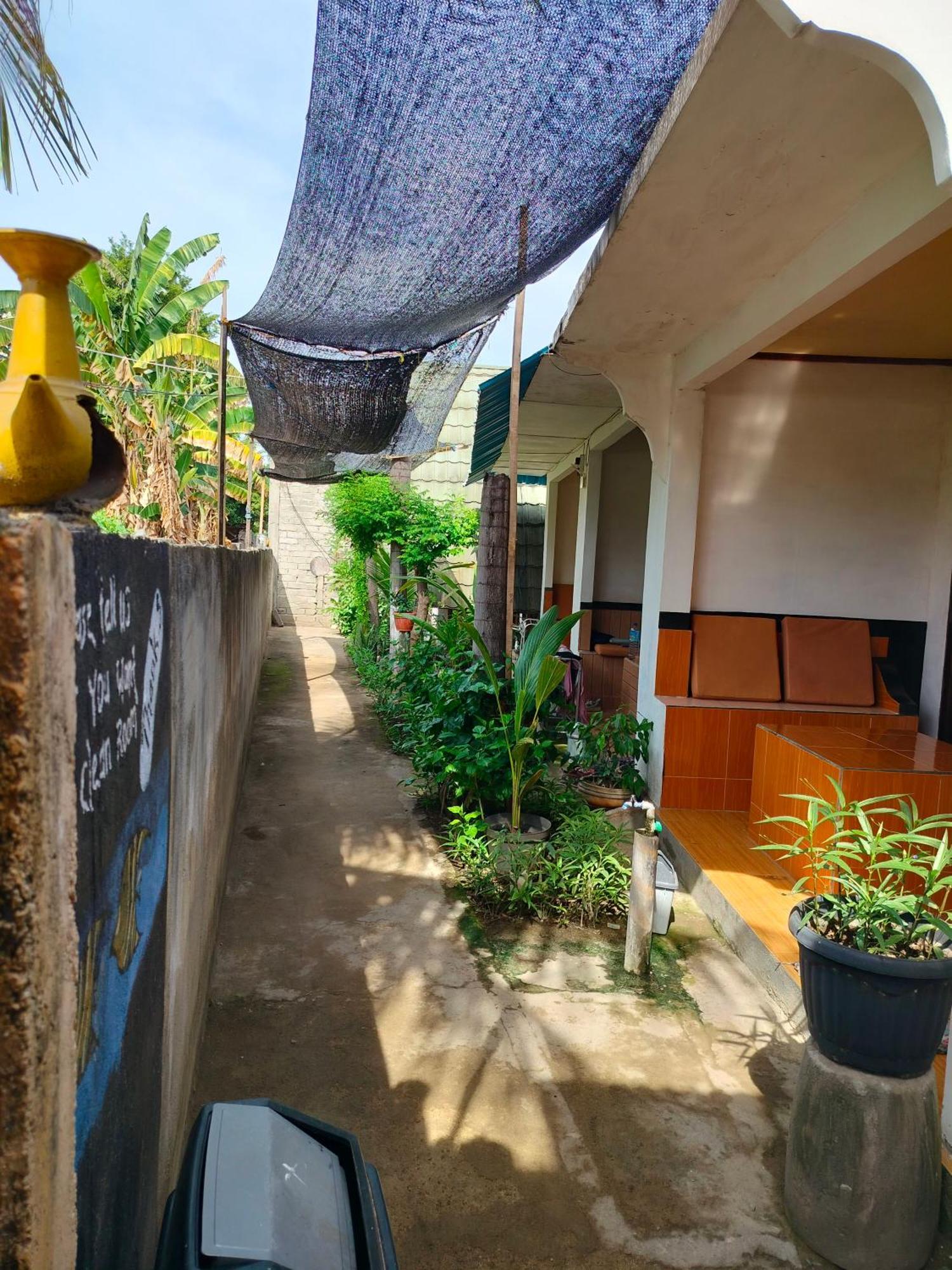 Aladdin Homestay Νησιά Γκίλι Εξωτερικό φωτογραφία