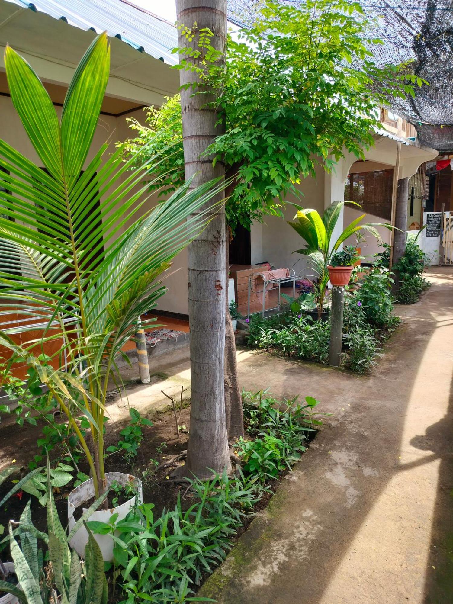 Aladdin Homestay Νησιά Γκίλι Εξωτερικό φωτογραφία