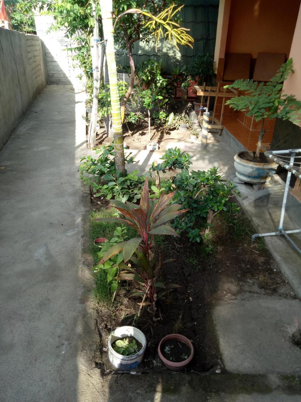 Aladdin Homestay Νησιά Γκίλι Εξωτερικό φωτογραφία
